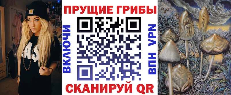 Псилоцибиновые грибы GOLDEN TEACHER  Чусовой 